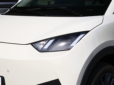 2026�� 305km ���ɰ�
