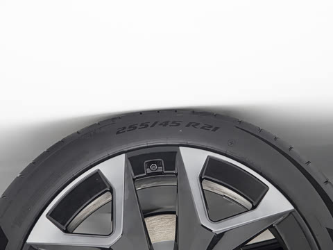 2026�� ����� ����