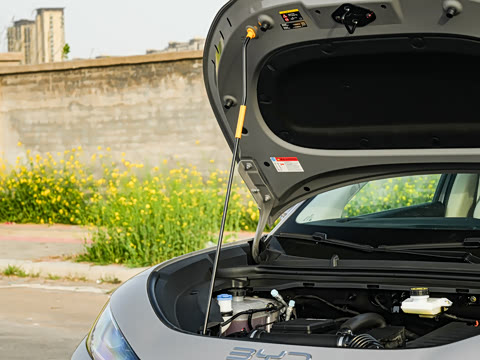 2026�� DM-i �Ǻ���