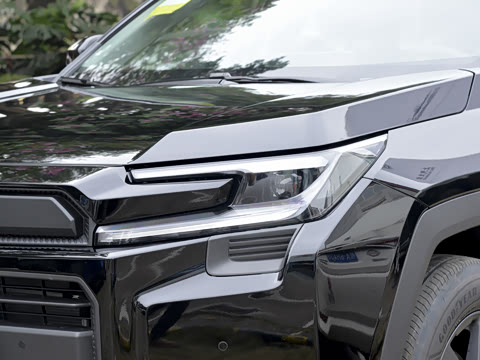 2026�� ˫�� 2.5L ����������