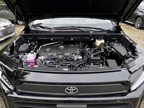 2026�� ˫�� 2.5L ����������