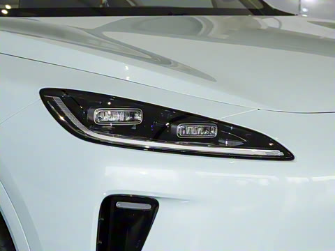 2025�� ���� Max ������