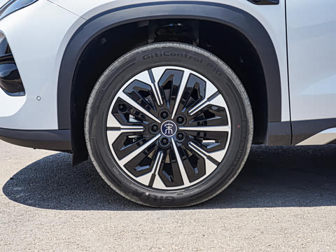 2026�� DM-i 310KM ��Խ��