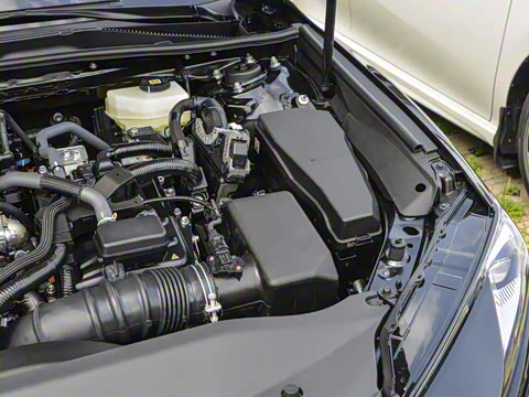 2026�� ˫�� 2.5HG ����