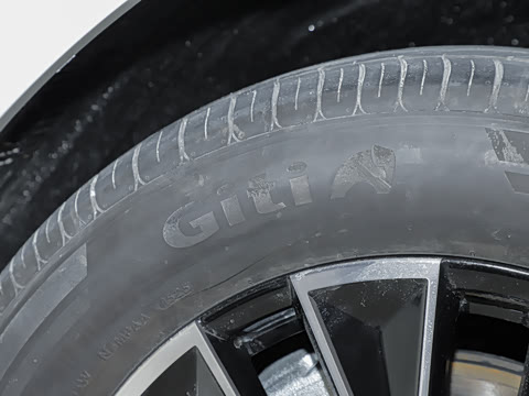 2025�� 205km Pro+�����״��