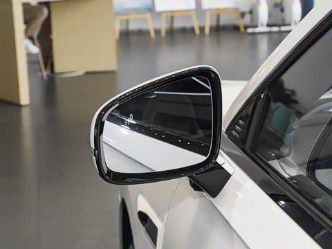 2025�� ���� 265 Max��������������ʻ