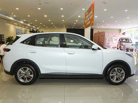 2025�� 565km ������