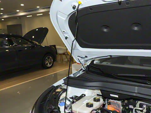 2025�� 565km ������