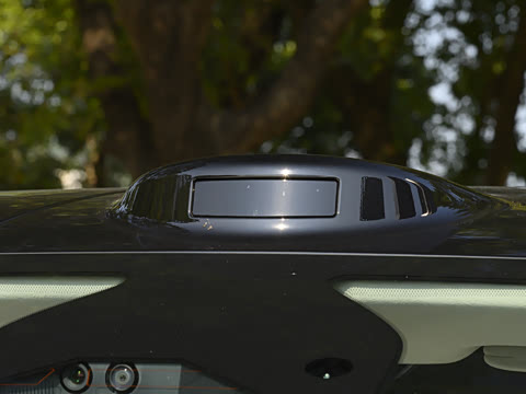 2026�� 1220����Max��