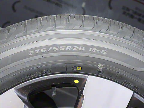 2025�� ��׼���