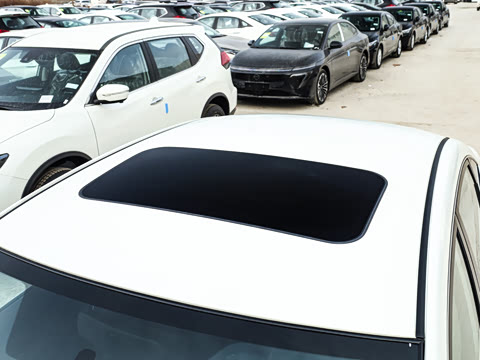 2026�� ���� 1.6L CVT�泩��