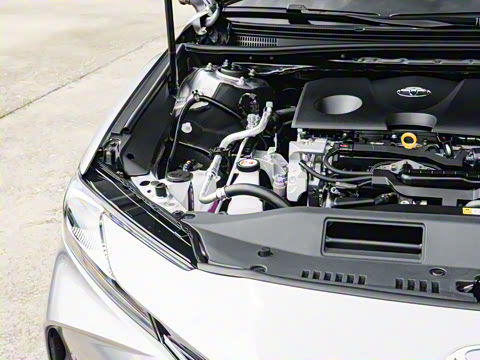 2026��  ˫�� 2.0HG ����