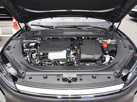 2025�� 260������������