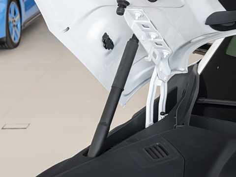 2025�� ������������Pro��