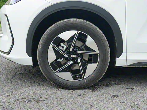 2026�� 530km ̽����