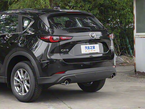 2025�� 2.0L �Զ���������Pro