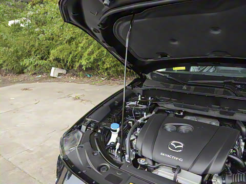 2025�� 2.0L �Զ���������Pro