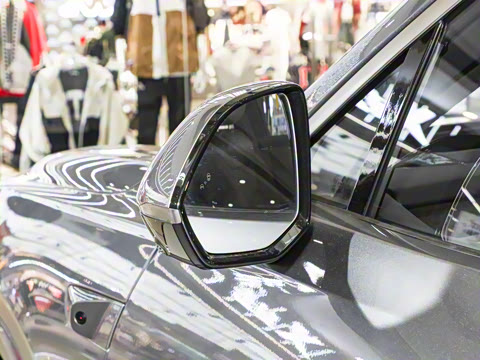 2025�� Pro ������