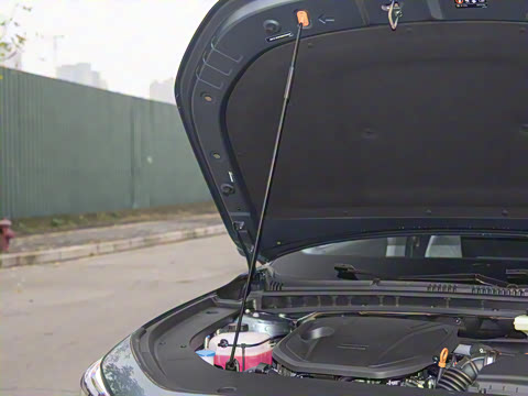 2026�� 60km̽����