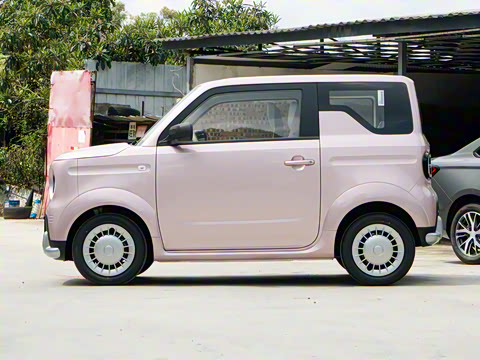 2025�� ������