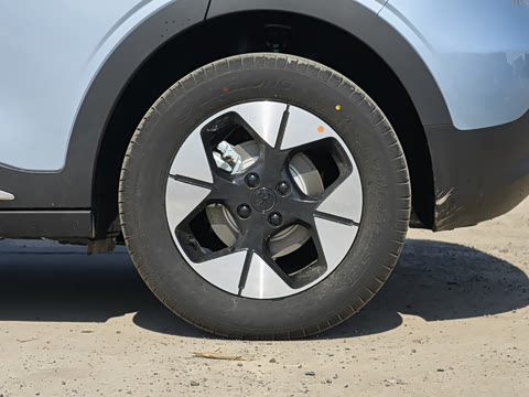 2026�� 310km �����