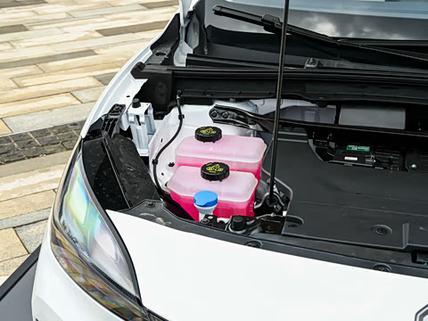 2026�� 610 ������