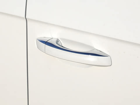 2026�� 300TSI DSG���������