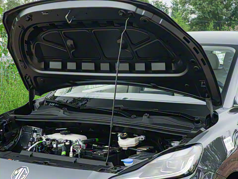 2026�� 437 ���İ�