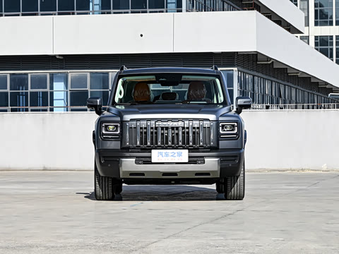 2025�� 2.0T 4WD Pro