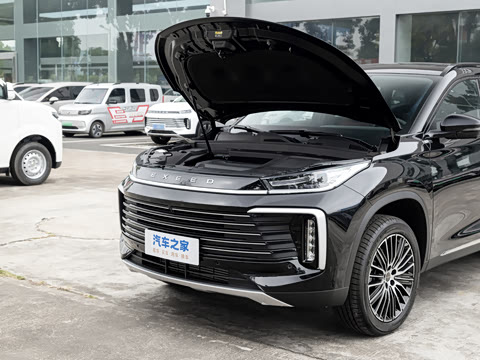 2026�� 300T ������Խ��