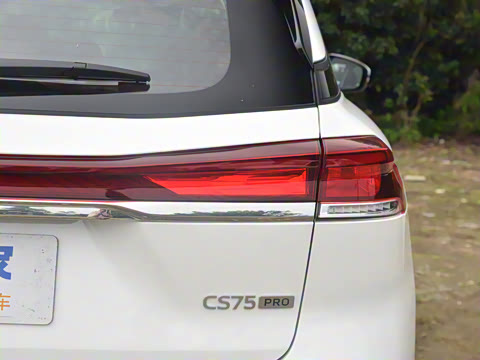 2026�� PRO 1.5T DCT ������ 5��