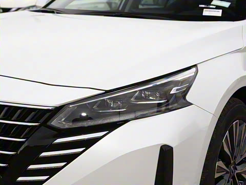 2025�� 2.0L XL-TLS ������