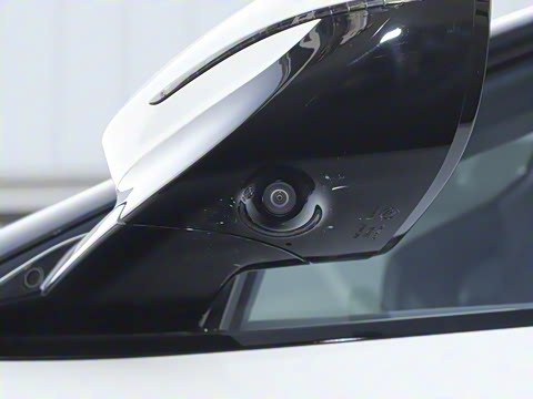 2025�� Elite�����