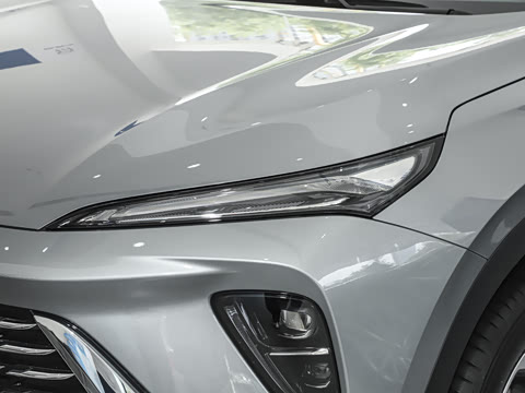 2025�� 25T �׽��