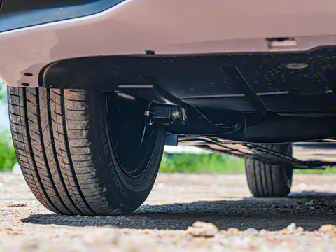 2026�� 437 ���İ�