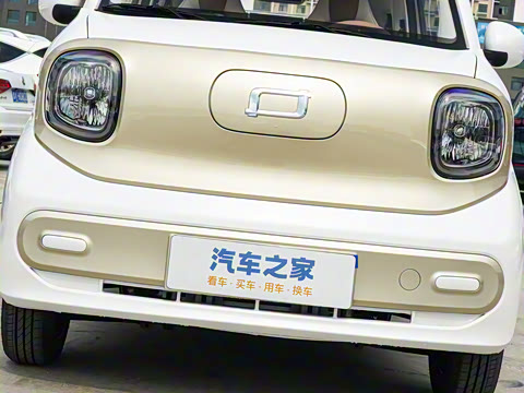 2026�� 222km ��ҫ��