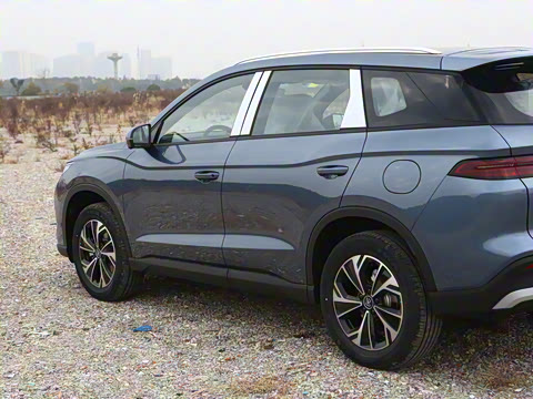 2026�� DM-i 133KM��ȡ��