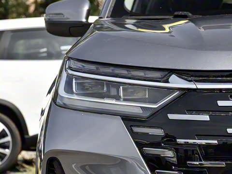 2025�� 290T ��������+