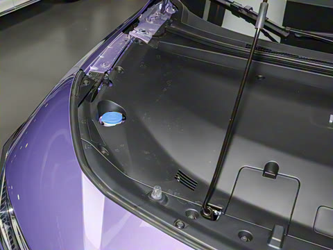 2025�� ����������Pro