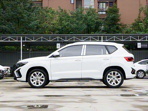 2026�� 280TSI �Զ�����Plus��