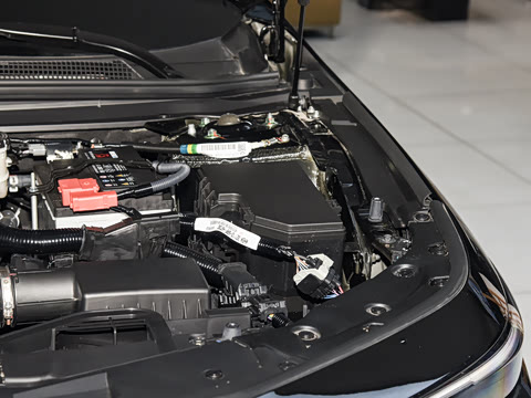2026�� 1.5T ��Ӣ��