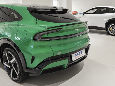 2025�� ������������Pro��