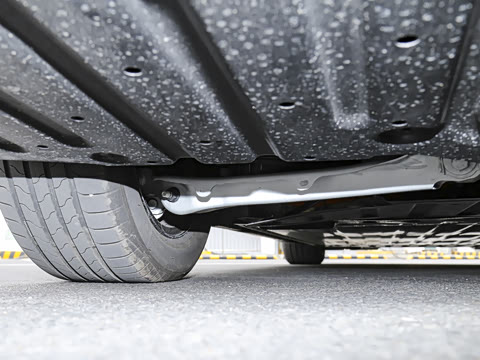 2026�� ����������