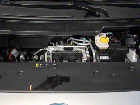 2025�� Plus 610 ������