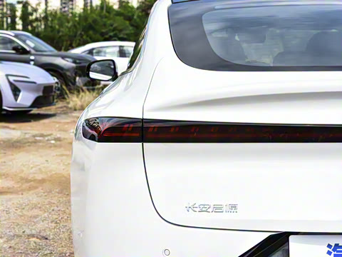 2026�� �����������̰� 310������