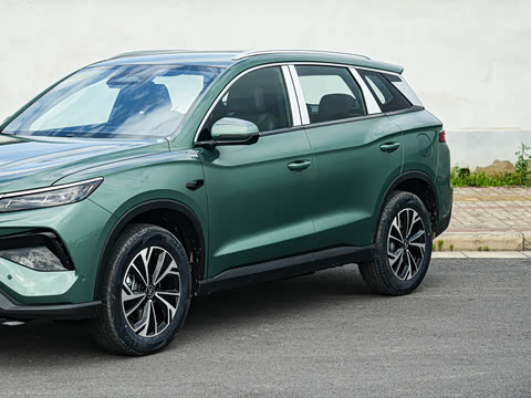2026�� DM-i 133KM��Խ��