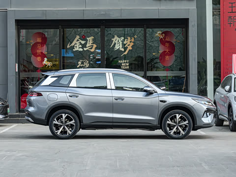 2026�� DM-i 220KM��Խ��