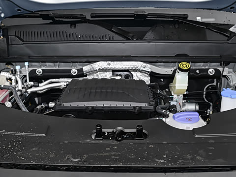 2025�� 205�������ܰ�