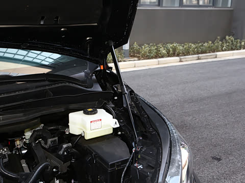 2026�� 2.5L �߶����м�