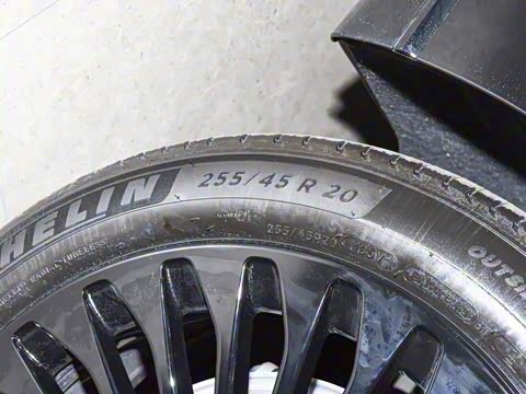 2025�� ���� Max��������